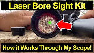 The Easiest Way to Bore Sight Your Rifle Scope [upl. by Avin]