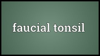 Faucial tonsil Meaning [upl. by Jamaal]