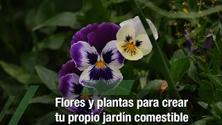 Flores y plantas para crear tu propio jardín comestible  TvAgro por Juan Gonzalo Angel Restrepo [upl. by Tadio]