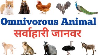 Omnivorous Animals name  सर्वाहारी जानवरों के नाम  Hindi and English READ AND LEARN [upl. by Oraneg193]