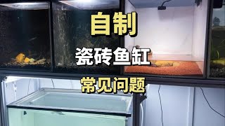 关于自制瓷砖鱼缸的一些常见问题，统一回复一下 [upl. by Jemima]