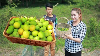 Extreme Sour Young Golden Plums Fruit Cook and Eat  How golden plum be in recipe  Yummy Fruit [upl. by Cahan]