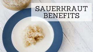 Sauerkraut Benefits  Bumblebee Apothecary [upl. by Arlee]