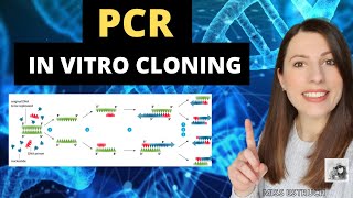 PCR In vitro cloning Alevel Biology Polymerase chain reaction process and advantages [upl. by Ellehcir]