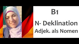 B1 Lektion 1 Grammatik  Adjektive als Nomen und NDeklination [upl. by Keener]