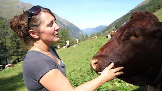 🌄 Piffalm  Martina Mühlbauer  Sennerin auf der Alm mit Leib und Seele [upl. by Marijo337]