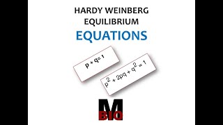 HARDY WEINBERG EQUATION [upl. by Laenahtan]