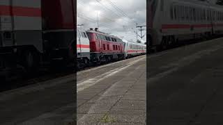 218 Sonderlackierungen dieseln aus Itzehoe nach Sylt shorts züge intercity bahn marschbahn [upl. by Derick]