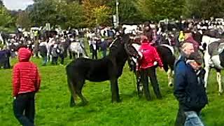 Ballinasloe fair 2019 [upl. by Eelac]