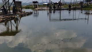 fishing in Naga Lake Barungklinting Indonesia Central Java [upl. by Graff]