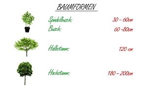 Obstbaumschnitt Der Kurs Theorie Kap 4 Baumformen [upl. by Thapa]