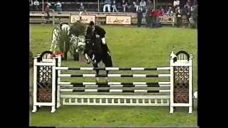 World Record Puissance Show Jumping Franke Sloothaak [upl. by Hirza]