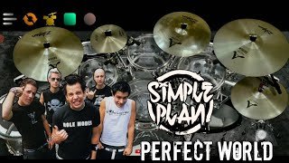 SIMPLE PLAN  Perfect World  Real Drum Cover [upl. by Sherer]