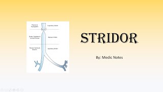 Stridor  acutechronic causes Bernoulli principle clinical features investigations management [upl. by Anerys204]