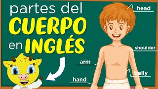 Partes del Cuerpo en Inglés  Inglés para Principiantes [upl. by Iaka824]