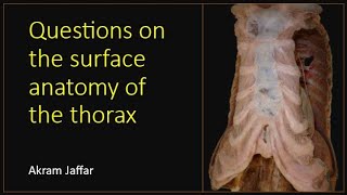 Questions on the surface anatomy of the thorax [upl. by Ytoc896]