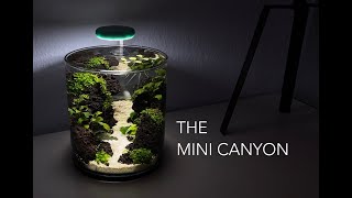 MINI CANYON in a 2L vase aquascape no filter no co2 fish tank shrimp vase [upl. by Aneek]