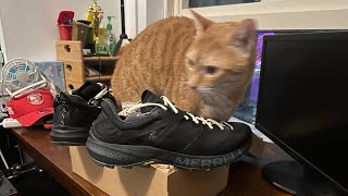 Unboxing Reese Cooper x Merrell MTL MQM X RCI an older shoe 12 price on Merrellcom hiking outdoors [upl. by Nairadas]