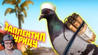 Лютые приколы в играх ► WDF 270  СТРАННЫЕ ПТИЦЫ  Реакция [upl. by Eckhardt865]