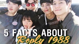 Reply 1988  5 Facts That You Might Dont Know [upl. by Lenni157]