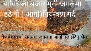 हामी बाक्सिला बजार मुनी जंगलमा डढेलो नियन्त्रण गर्दै । We are in the forest controlling the fire [upl. by Akeemat252]