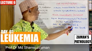 Hematology Lecture 6  Leukemia Day 01 [upl. by Solly]