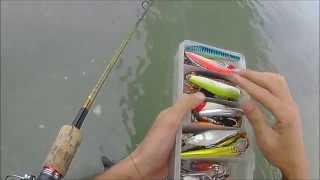 Rapala Flat Rap FLR10 for River Seabass [upl. by Llenaej624]