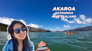 Akaroa Kayaking and Kaikōura Kahawai Catch and Cook [upl. by Irwinn]