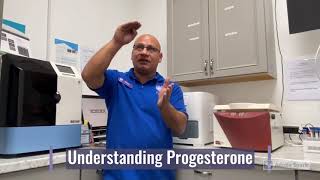 Understanding Canine Progesterone Levels  SoCal K9 Clinic [upl. by Pallaton]