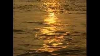 Ganga Maiya Ho Pawan Ganga Maiya I Ganga Bhajan I Ganga Maa [upl. by Nnylakcaj911]