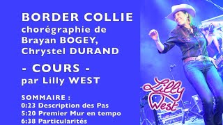 COURS BORDER COLLIE de Brayan BOGEY amp Chrystel DURAND enseignée par Lilly WEST [upl. by Gnilrits]