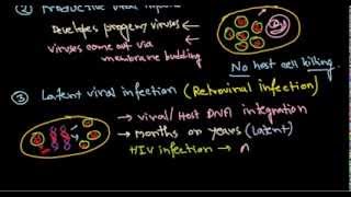 14 Effects of viral infection on host cell [upl. by Nyvets768]