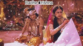 lagan tumse laga baithe jo hoga dekha jayega cover song shyam teri lagan radhe krishna radhakrish🙏💓 [upl. by Osicnarf]