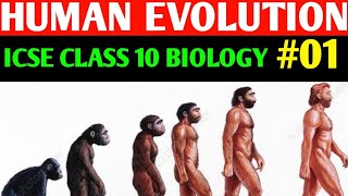 Human Evolution Part 1  ICSE CLASS 10 BIOLOGY  Chapter 14  impossible shubhankarpandey [upl. by Warrick]