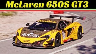 McLaren 650S GT3 Hill Climb Supercar driven by Jàn Milon SVK  Fia Hill Climb Masters Race 2018 [upl. by Alahcim]