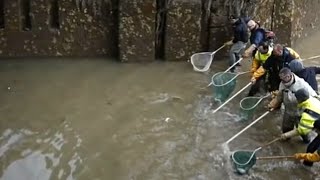 They Drained This Canal For The First Time In Decades And What They Discovered Is Truly Bizarre [upl. by Aiak]