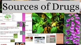 Sources Of Drugs in Pharmacology Natural Semisynthetic and Synthetic [upl. by Eirased629]