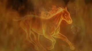 FIRE HORSE THRU FLAMES EFFECT [upl. by Silliw]