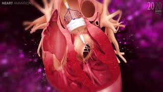 Heart animations medical 3D animations Herz Animationen Medizinische 3D Animationen [upl. by Atsiuqal]