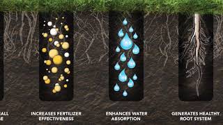 The Differences Between Aeration Tines [upl. by Relda]