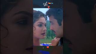 Hamen Jab Se Mohabbat  Akshaye Khanna amp Pooja Bhatt Border  90s Love Songs trending lovesong [upl. by Kramnhoj154]