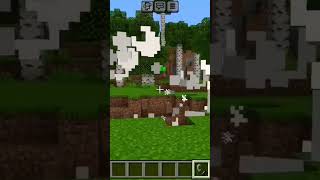 NETHERITE BLOCK ROCK AND OTHER BLOCK SHOCKED minecraft [upl. by Nets893]