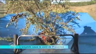 Les amandes de provence  7 novembre 2012 [upl. by Htezzil]