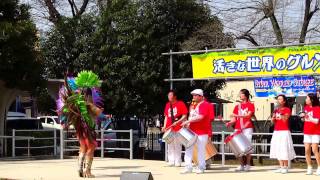 JapãoOizumiFeira Das Delicias internacionais 2015Samba e Bateria Show [upl. by Ahsekat154]