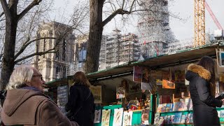 JO Paris 2024  soulagement pour les emblématiques bouquinistes qui restent sur les quais de Seine [upl. by Grishilda]