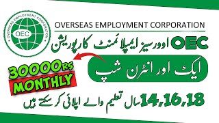 Paid Internship in OEC Overseas Employment Corporation after CM Punjab Internship Program 2024 [upl. by Ellwood629]