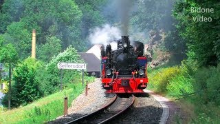 Eisenbahn 2012 45 Dampfloks  Steam Trains  Züge [upl. by Odirfliw]