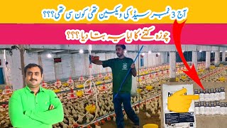 broiler chicks Shed No 3 day 5 Broiler Chicks shed No 3 Main vaccine [upl. by Hayyifas825]