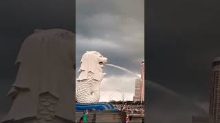 World famous Singapore Merlion fountain Beautiful masterpiece Merlion Statue park Cloudy weather [upl. by Cagle]