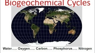 Biogeochemical Cycles honors biology updated [upl. by Odlanier84]